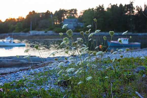 Harpswell_140824_0094