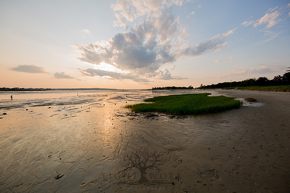 Ferry Beach 070615_20150705_055