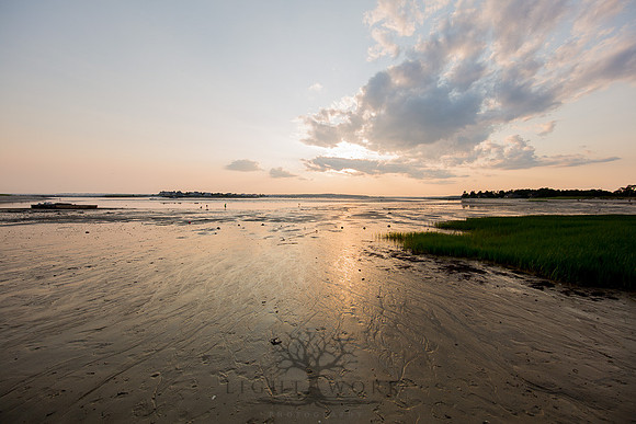 Ferry Beach 070615_20150705_056
