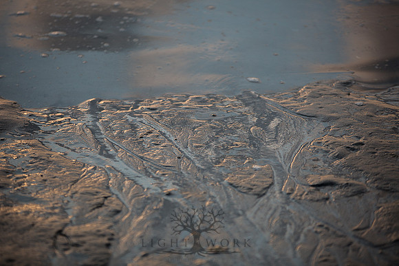 Ferry Beach 070615_20150705_062