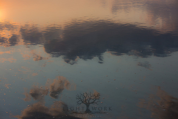 Ferry Beach 070615_20150705_085