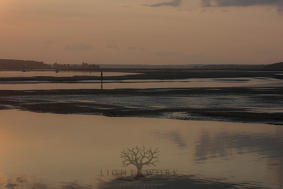 Ferry Beach 070615_20150705_086