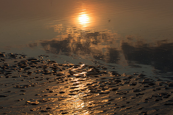 Ferry Beach 070615_20150705_087