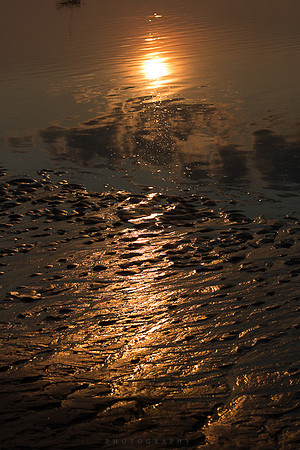 Ferry Beach 070615_20150705_088