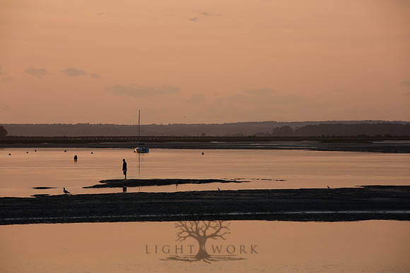 Ferry Beach 070615_20150705_089