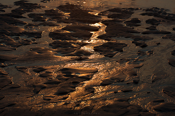 Ferry Beach 070615_20150705_091