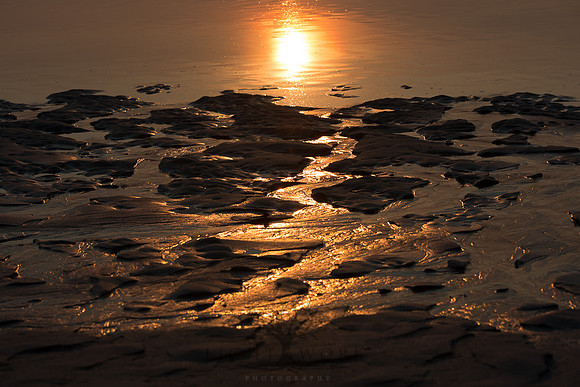 Ferry Beach 070615_20150705_095