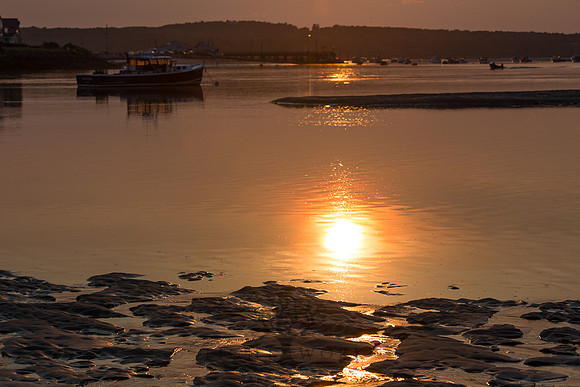 Ferry Beach 070615_20150705_096
