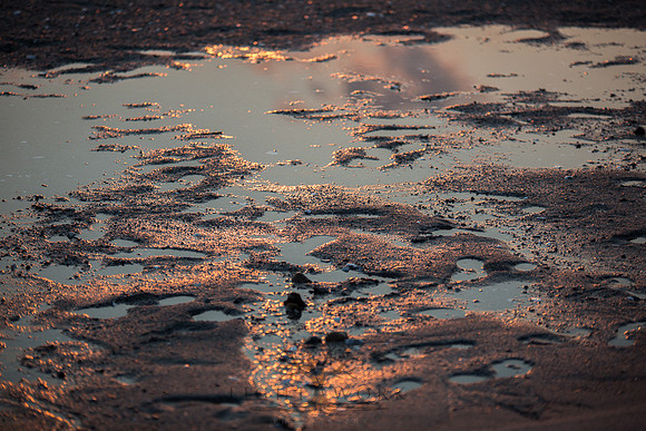Ferry Beach 070615_20150705_099
