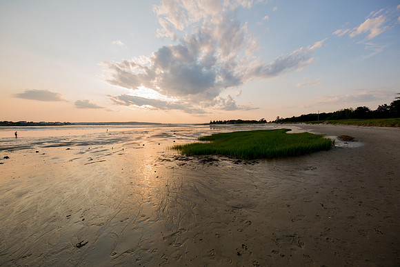 Ferry Beach 070615_20150705_055