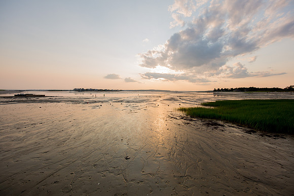 Ferry Beach 070615_20150705_056