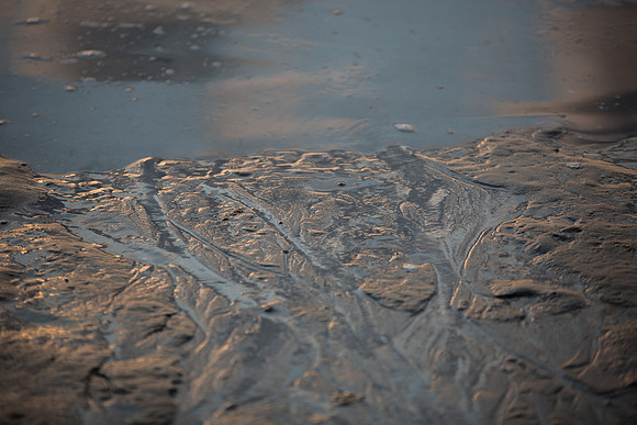 Ferry Beach 070615_20150705_062