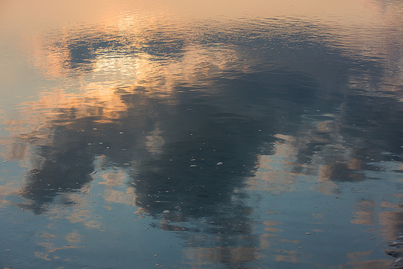 Ferry Beach 070615_20150705_066