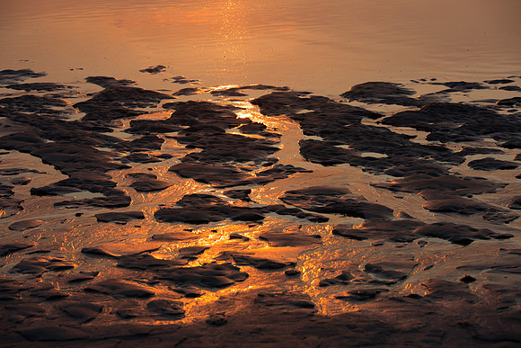 Ferry Beach 070615_20150705_105