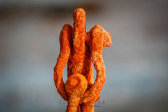 closeups_070114-7154