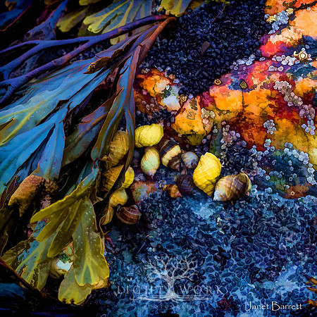 SquarePhotos-45