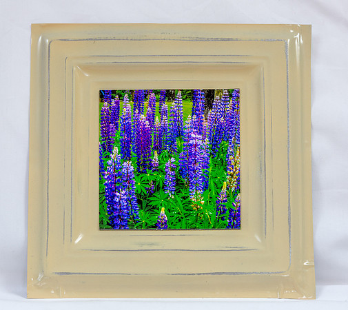 Artistic Tins Card Photos_20170729_032