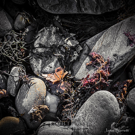 SquarePhotos-63
