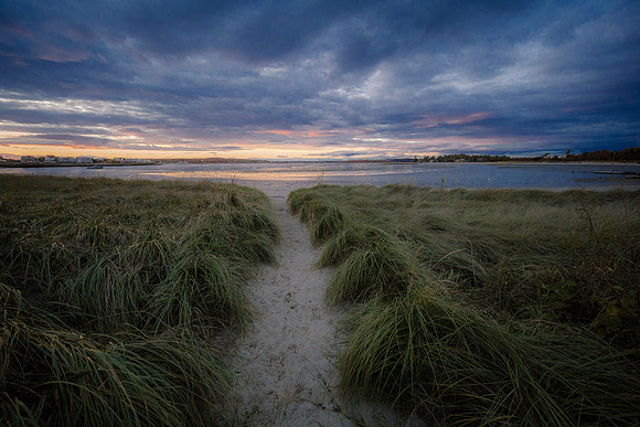 The Path