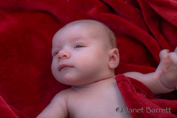 Baby Budman_20160218_072