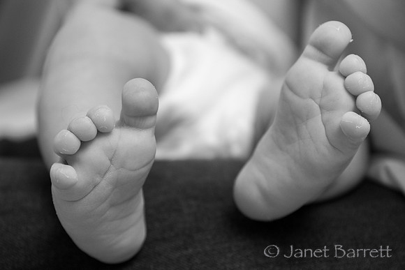 Baby Budman_2_20160218_011