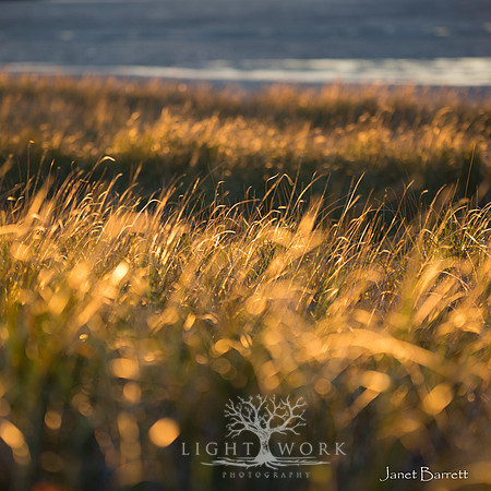 SquarePhotos-27