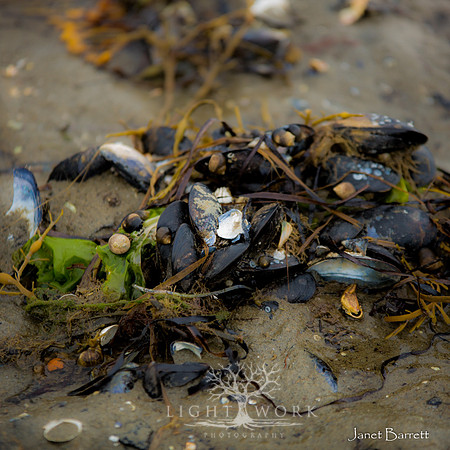 SquarePhotos-24