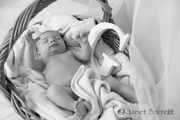 Baby Budman_20160218_095-2