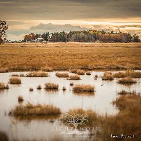 SquarePhotos-62