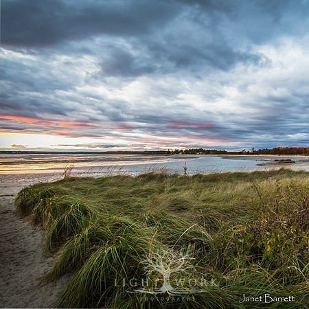 SquarePhotos-36