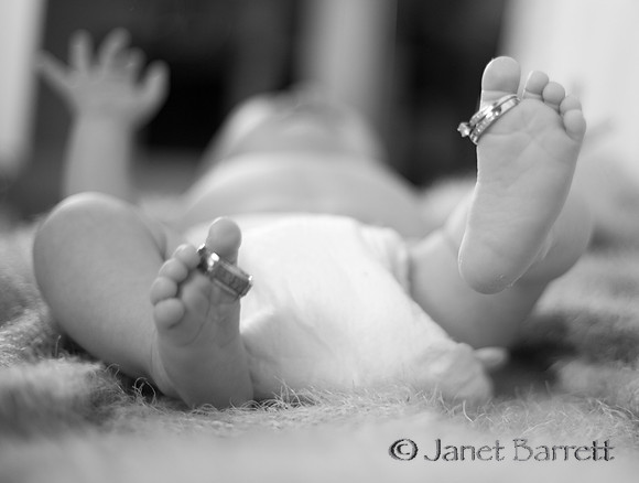 Baby Budman_20160218_378-2