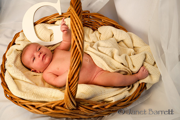 Baby Budman_20160218_140