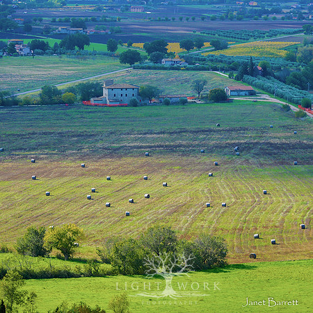 SquarePhotos-59