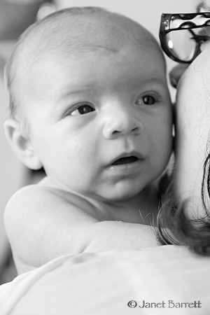 Baby Budman_2_20160218_005