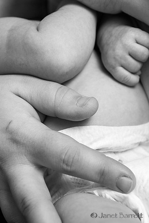 Baby Budman_2_20160218_013