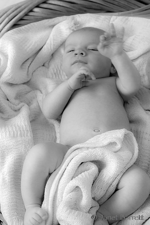Baby Budman_2_20160218_029-2