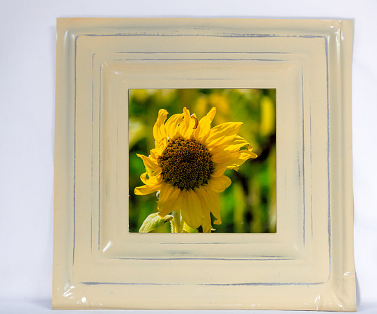 Artistic Tins Card Photos_20170729_088