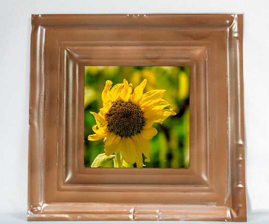 Artistic Tins Card Photos_20170729_092