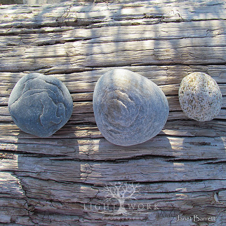 SquarePhotos-6