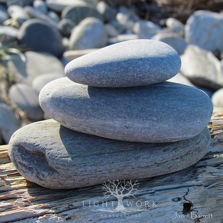 SquarePhotos-9