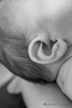 Baby Budman_2_20160218_015