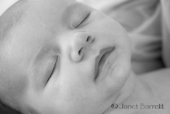 Baby Budman_2_20160218_018