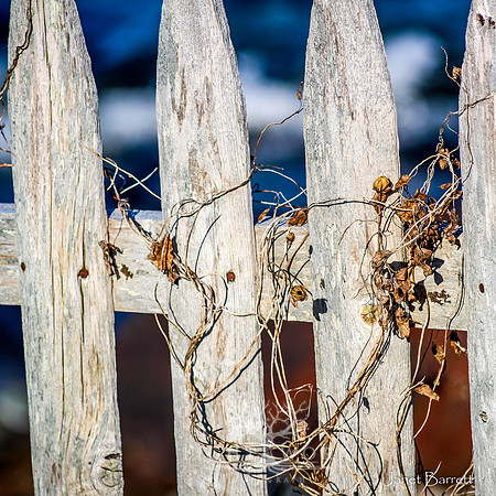 SquarePhotos-5