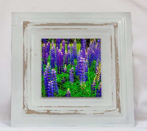 Artistic Tins Card Photos_20170729_033