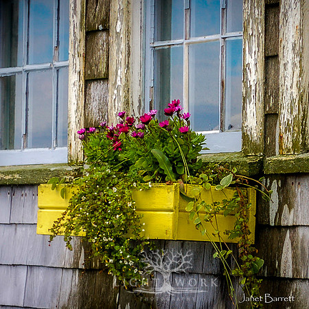 SquarePhotos-49