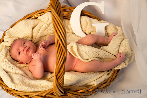 Baby Budman_20160218_148