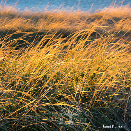 SquarePhotos-29