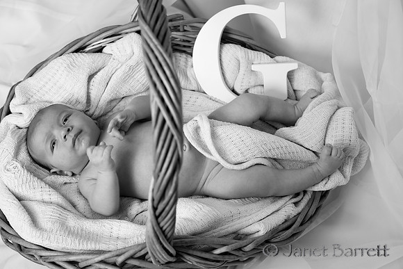 Baby Budman_20160218_149-2