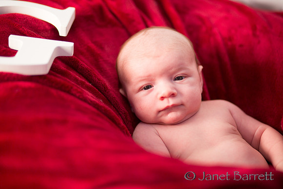 Baby Budman_20160218_371