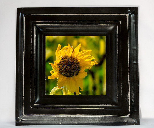 Artistic Tins Card Photos_20170729_089
